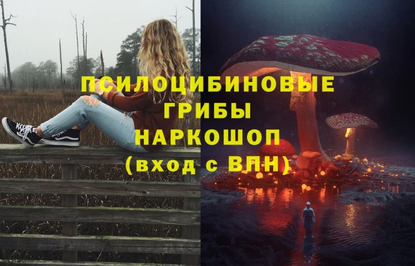 сатива Верхний Тагил